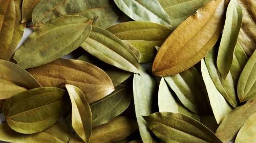 CINNAMON LEAVES (500 g)